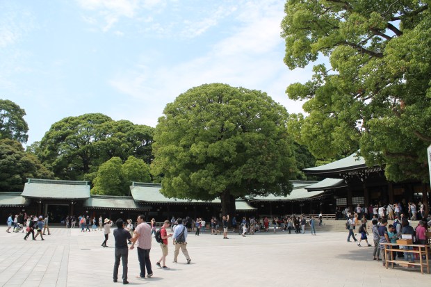 We weren't really supposed to take pictures of the shrine since it is sacred, but this is sort of the side of the shrine. Plus, hubster became obsessed with this tree which he felt was the 