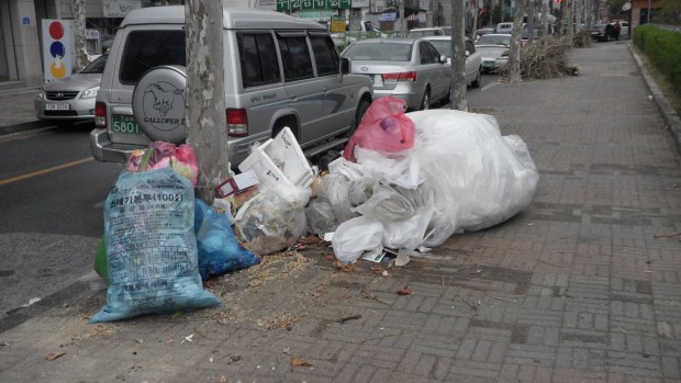 Can you imagine this on every city street in America?