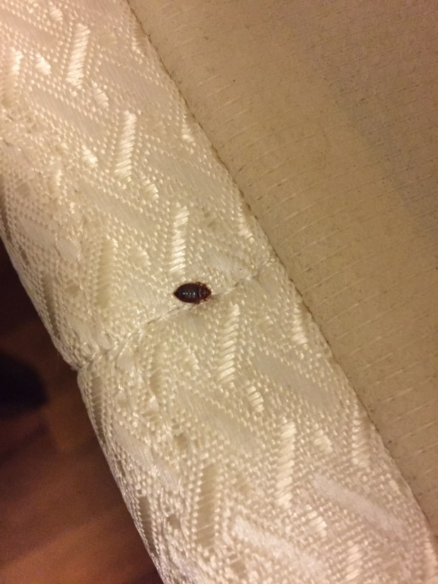 38F329D3-84D5-42C9-97AE-40167C96D5A3