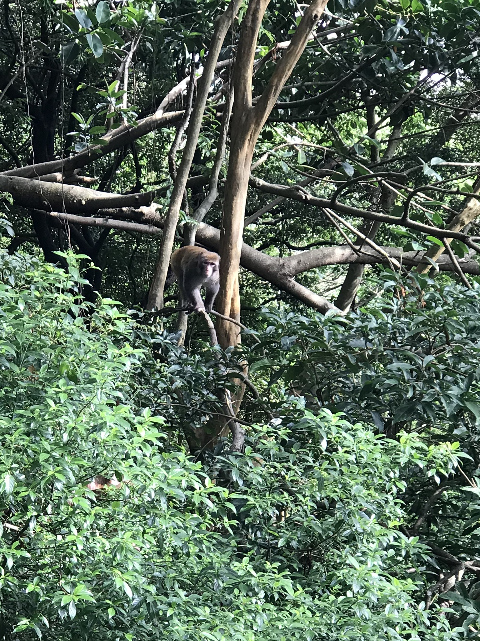 7C400E0F-C22E-4CB8-A9AF-97AE30C64869