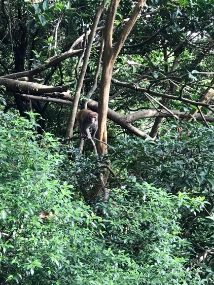 7C400E0F-C22E-4CB8-A9AF-97AE30C64869