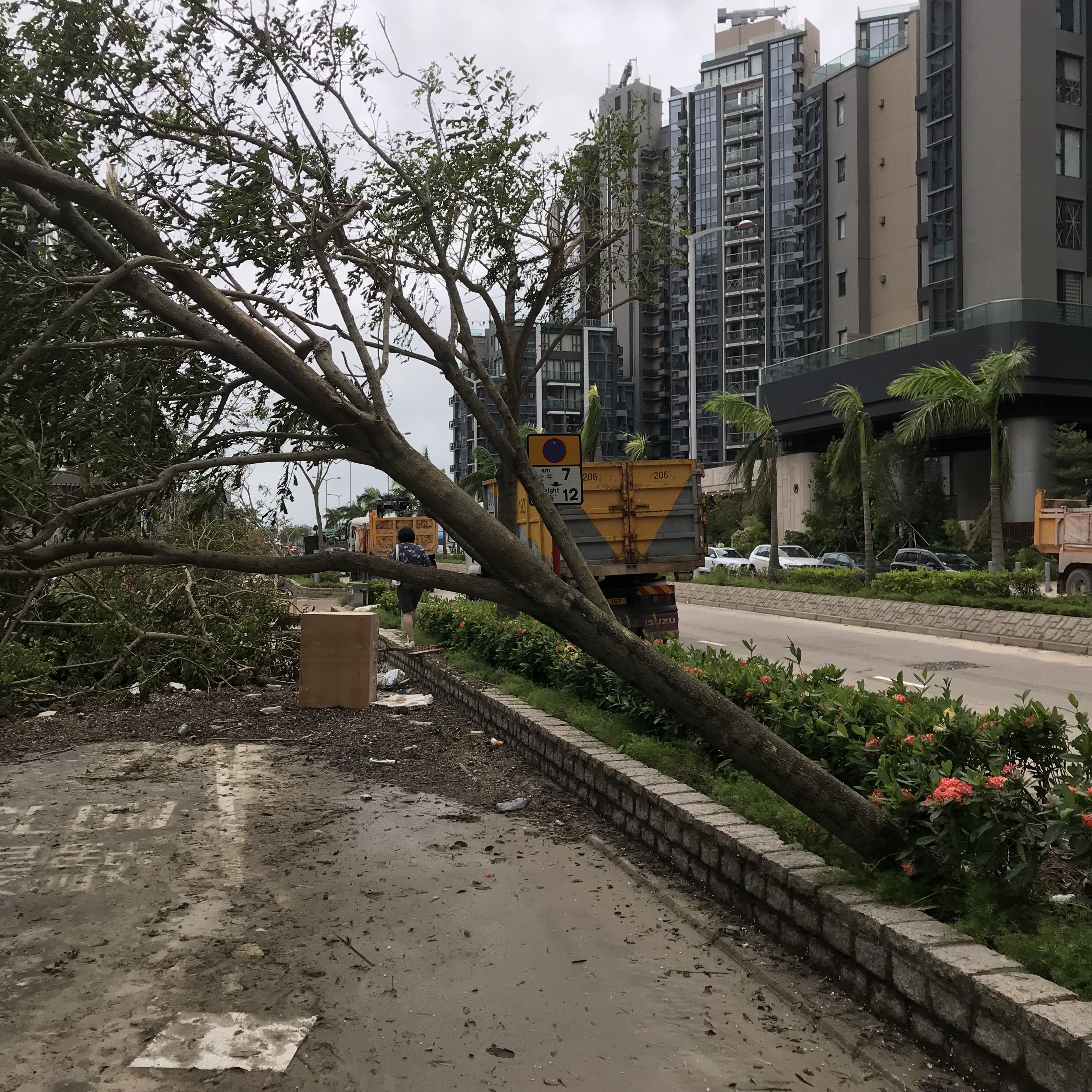 9CC033FB-3B48-46F4-9113-AD428F51B00E