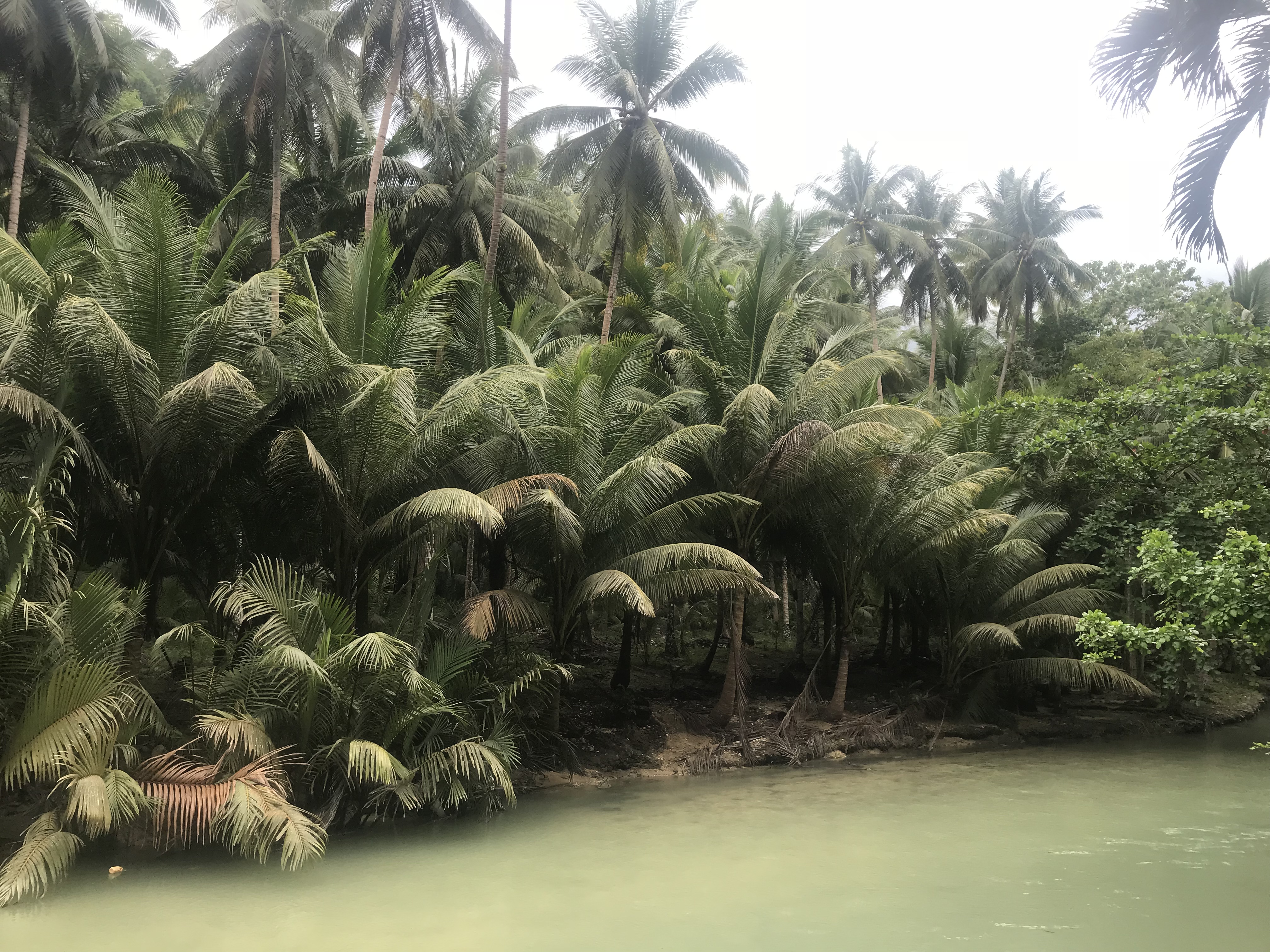 F2446DB8-AF9B-444F-879B-B3FABFD21446