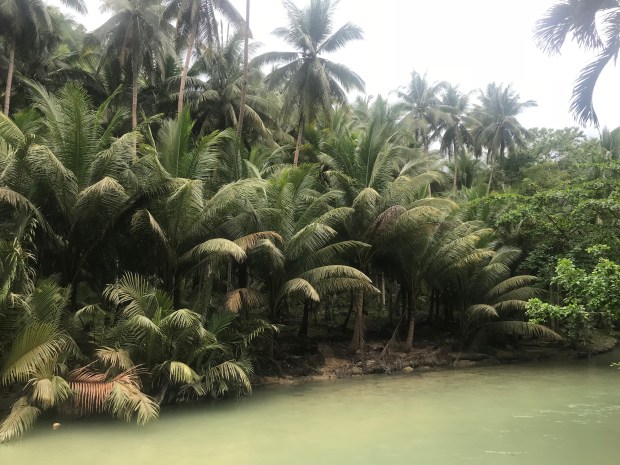 F2446DB8-AF9B-444F-879B-B3FABFD21446